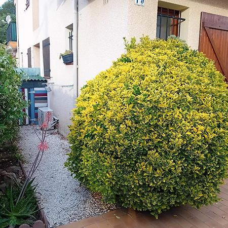 Le Racou Villa Argeles-sur-Mer Bagian luar foto