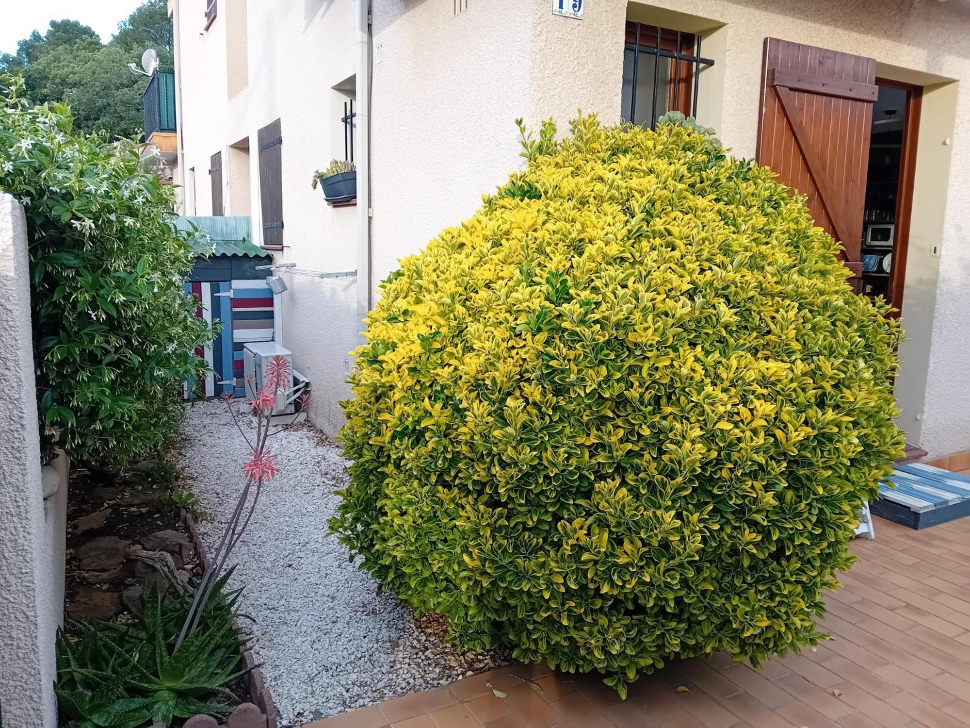 Le Racou Villa Argeles-sur-Mer Bagian luar foto